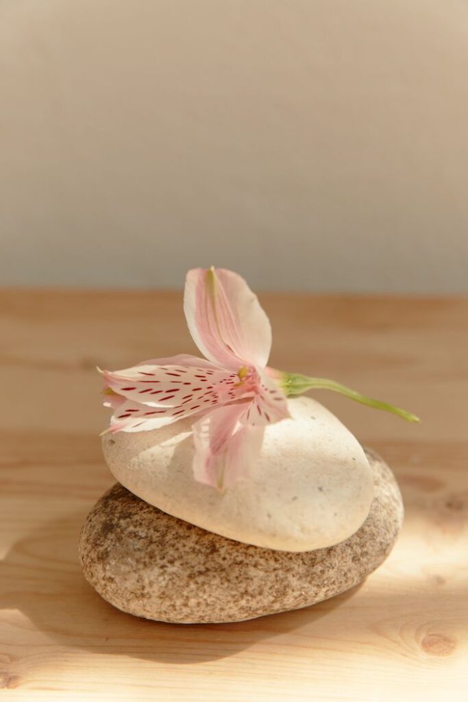 A serene minimalist composition featuring a pink flower on stacked stones, perfect for zen and relaxation themes.